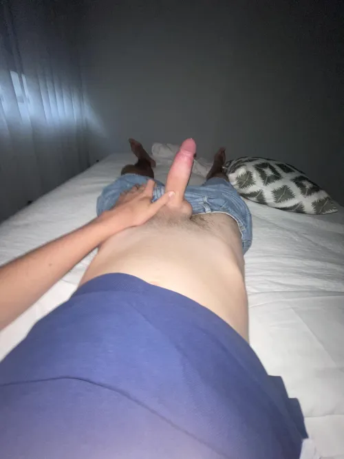 18M4F Kedron, 8.5 inches of white cock