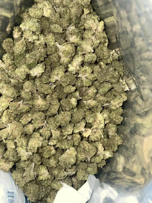 TSB budget 1/2 pound LA Kush cake