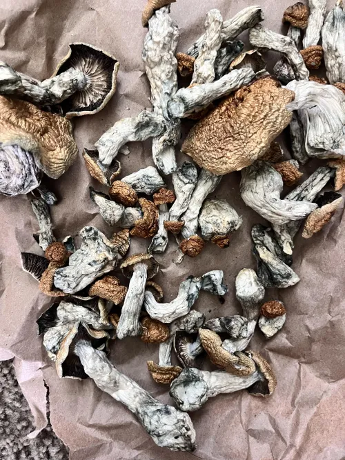 Do these look moldy or chill?