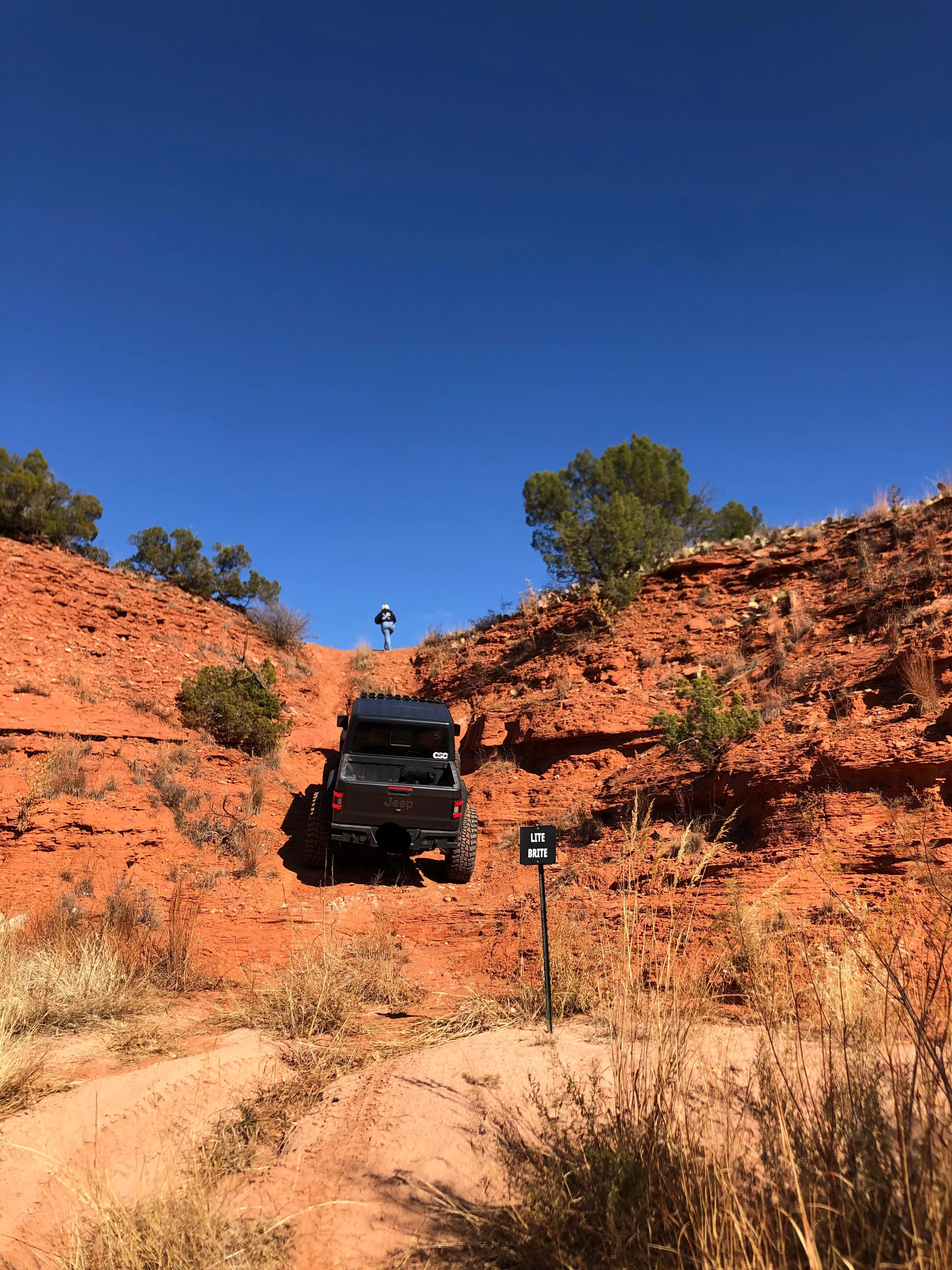 I’d look pretty good as your spotter, wouldn’t I?