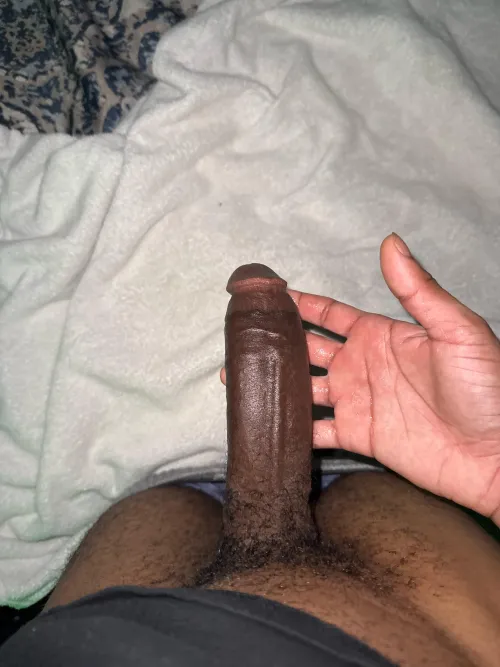M19