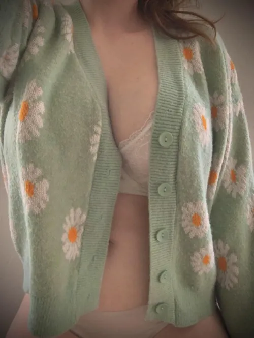 The oxeye daisy is easy to identify by its large, round flower heads that appear on single, tall stems.