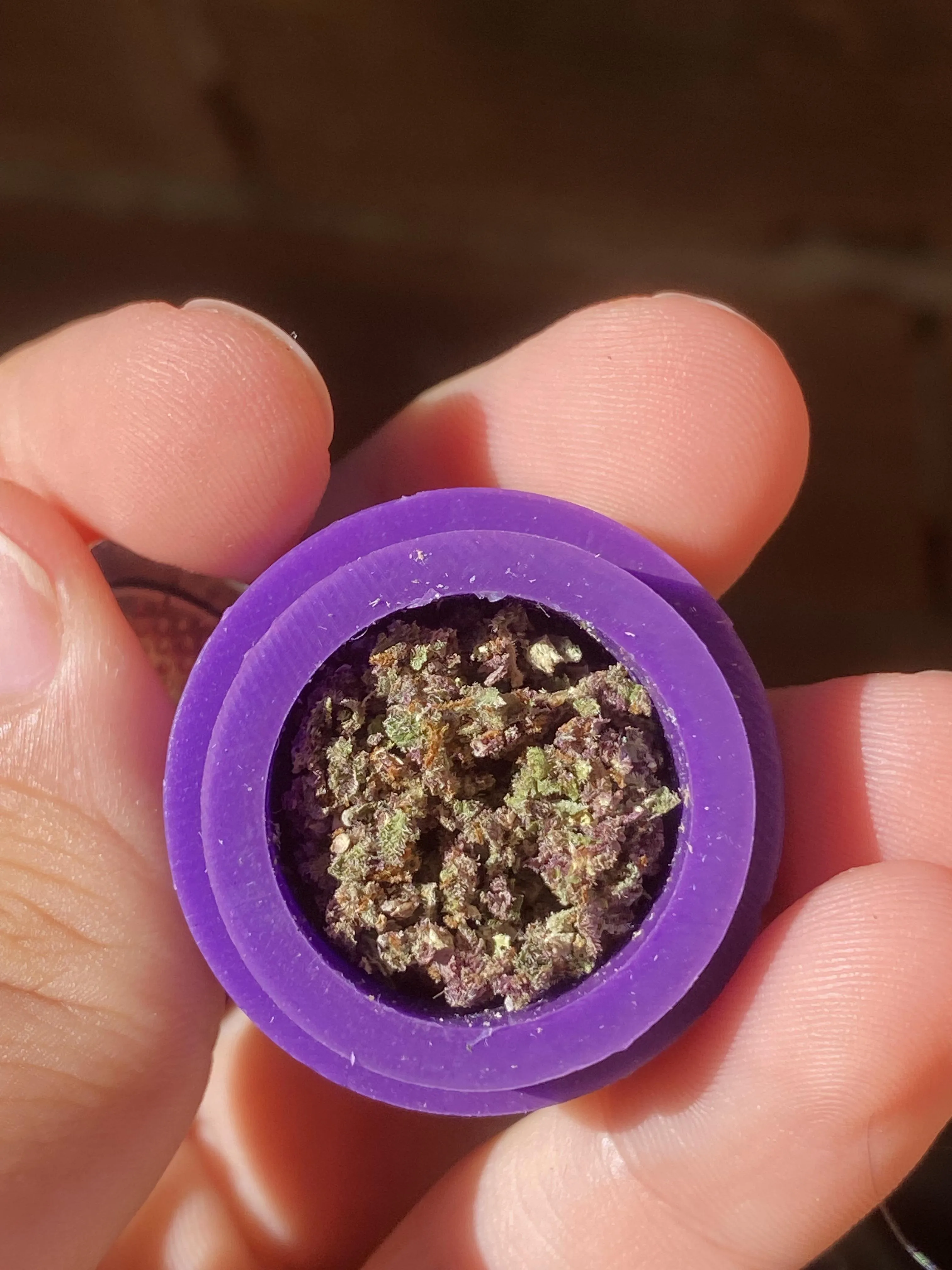 Tropicana Peach Indoor