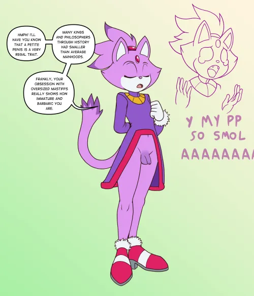 Blaze the cat cope (Fourssss)