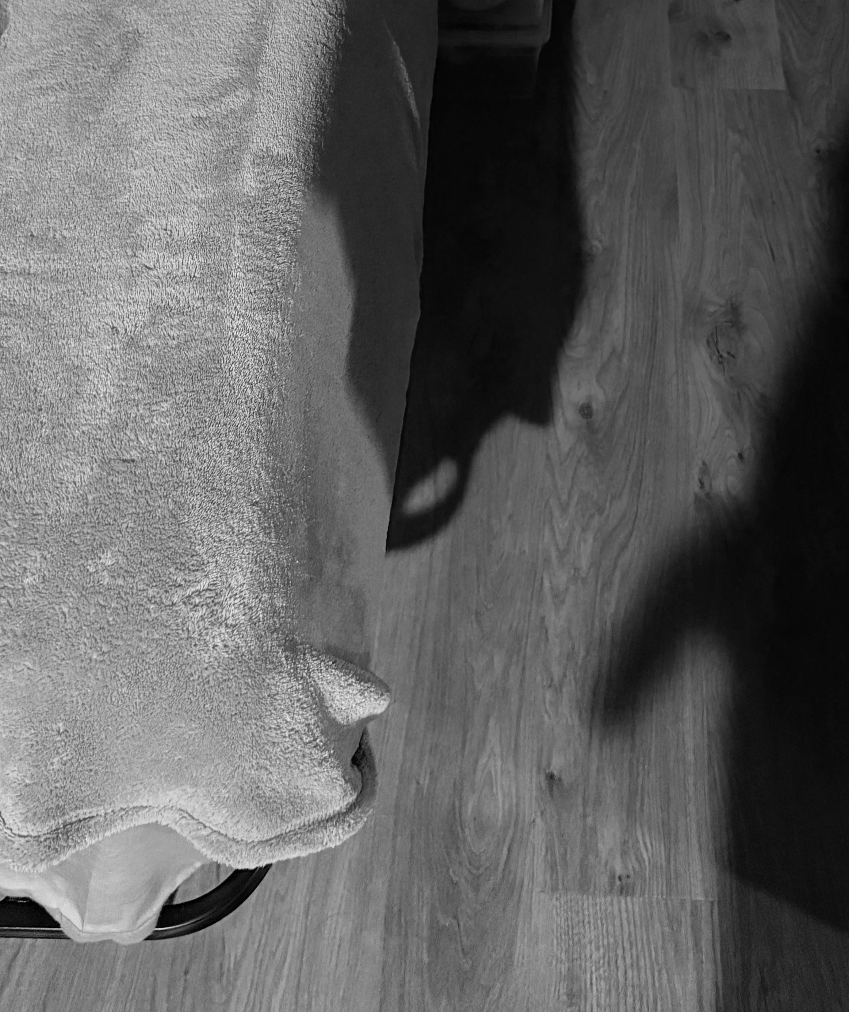 fun with shadows by me