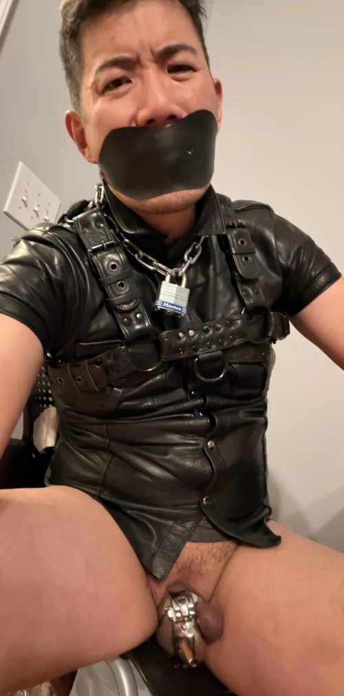 Leather gimp needs your help.                                             https://chaster.app/explore/62146e13331ddb00158f36cd   Pics upon request
