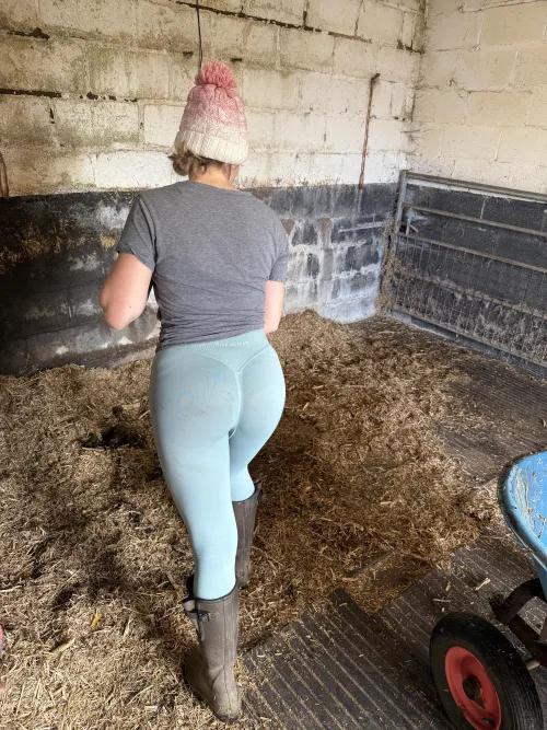 Anyone want to help mucking out