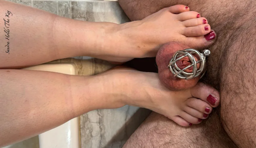 Look at your small caged cock. Not even bigger than my toe. No wonder it is pussy free and will stay that way. 