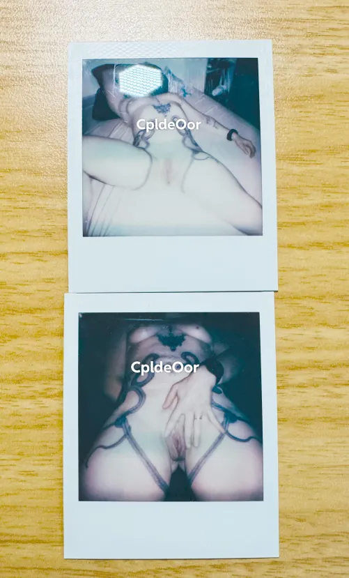 Some of 🇫🇷 wife