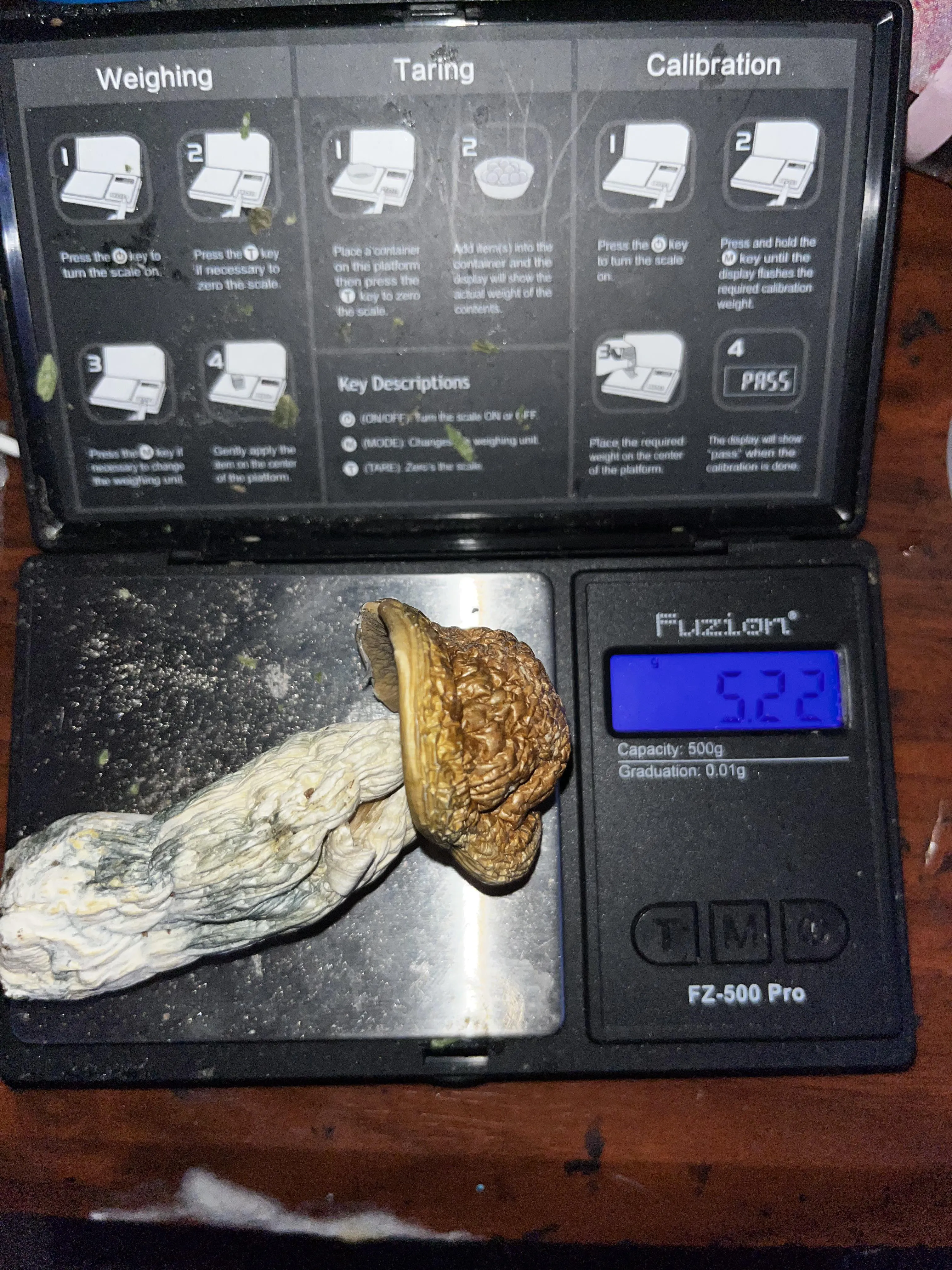 5.22g (Makilla gorilla)