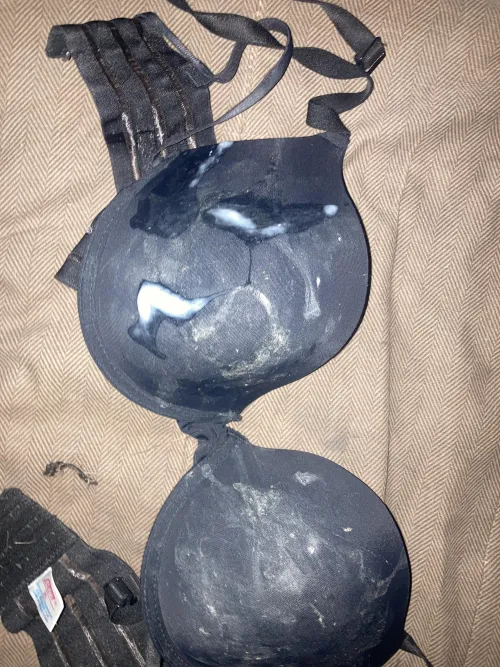 A new run for this champion