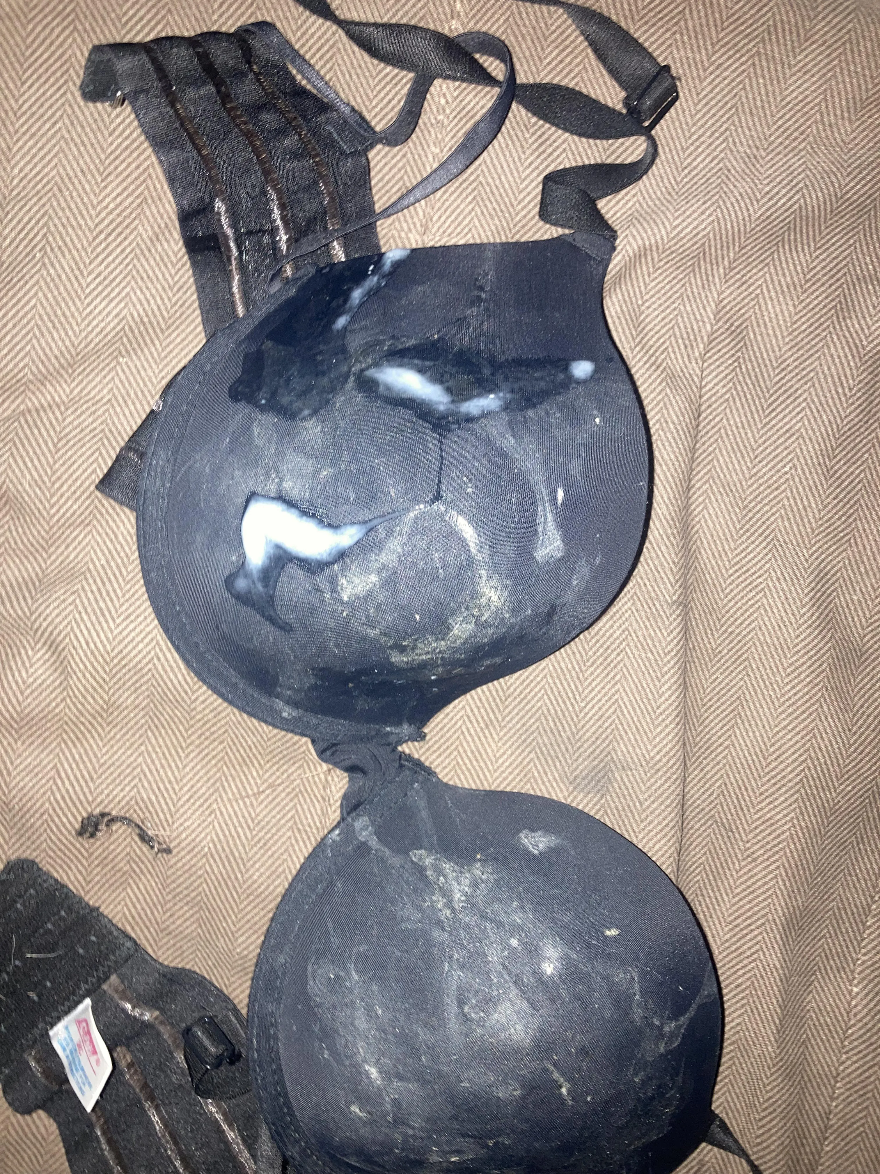 A new run for this champion