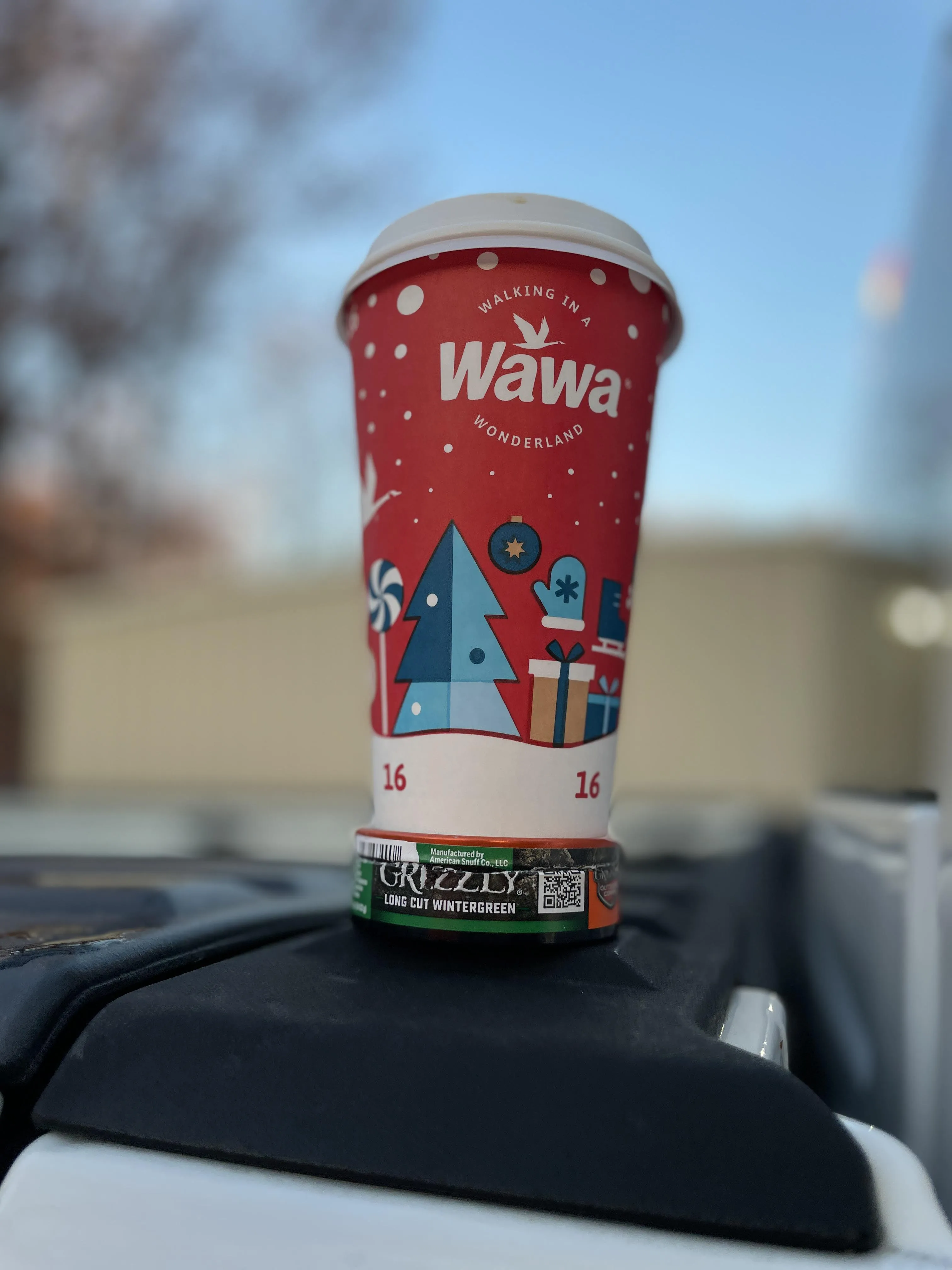 Breakfast of Champions