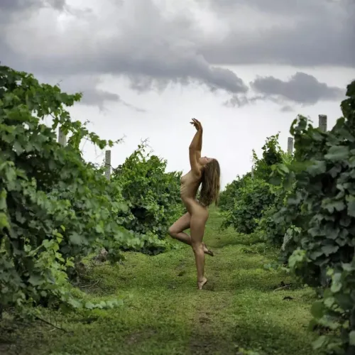 Dancing in the vineyard