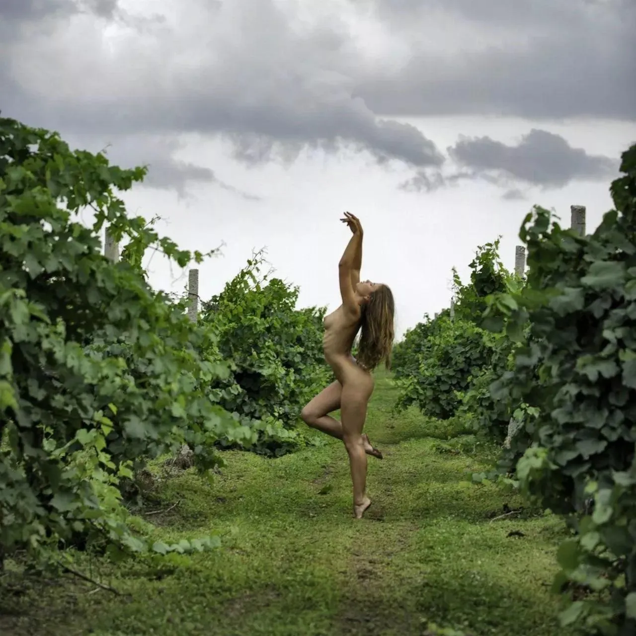Dancing in the vineyard