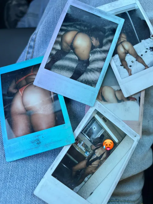 Looking for someone to watch us this weekend