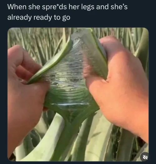 Perfect wet 💦