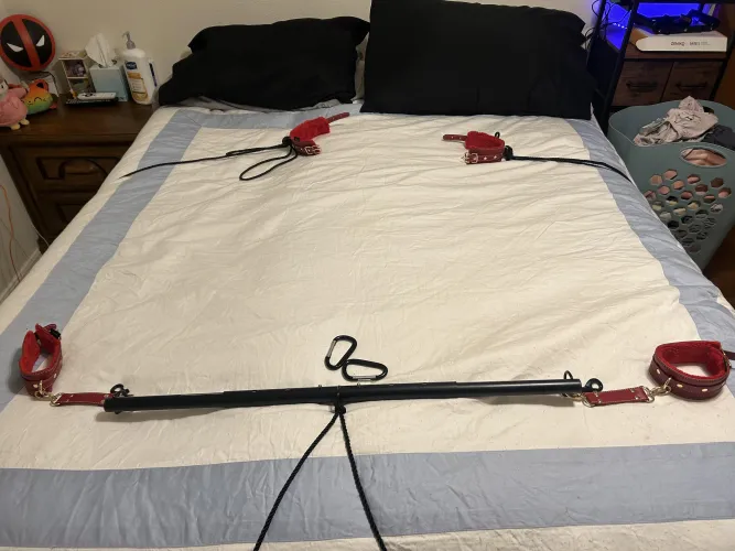 Would this be considered wild?