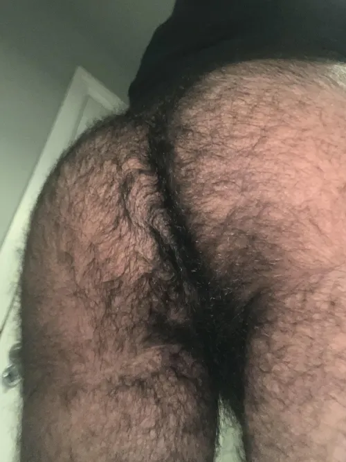 25 Ever played with an ass this hairy?