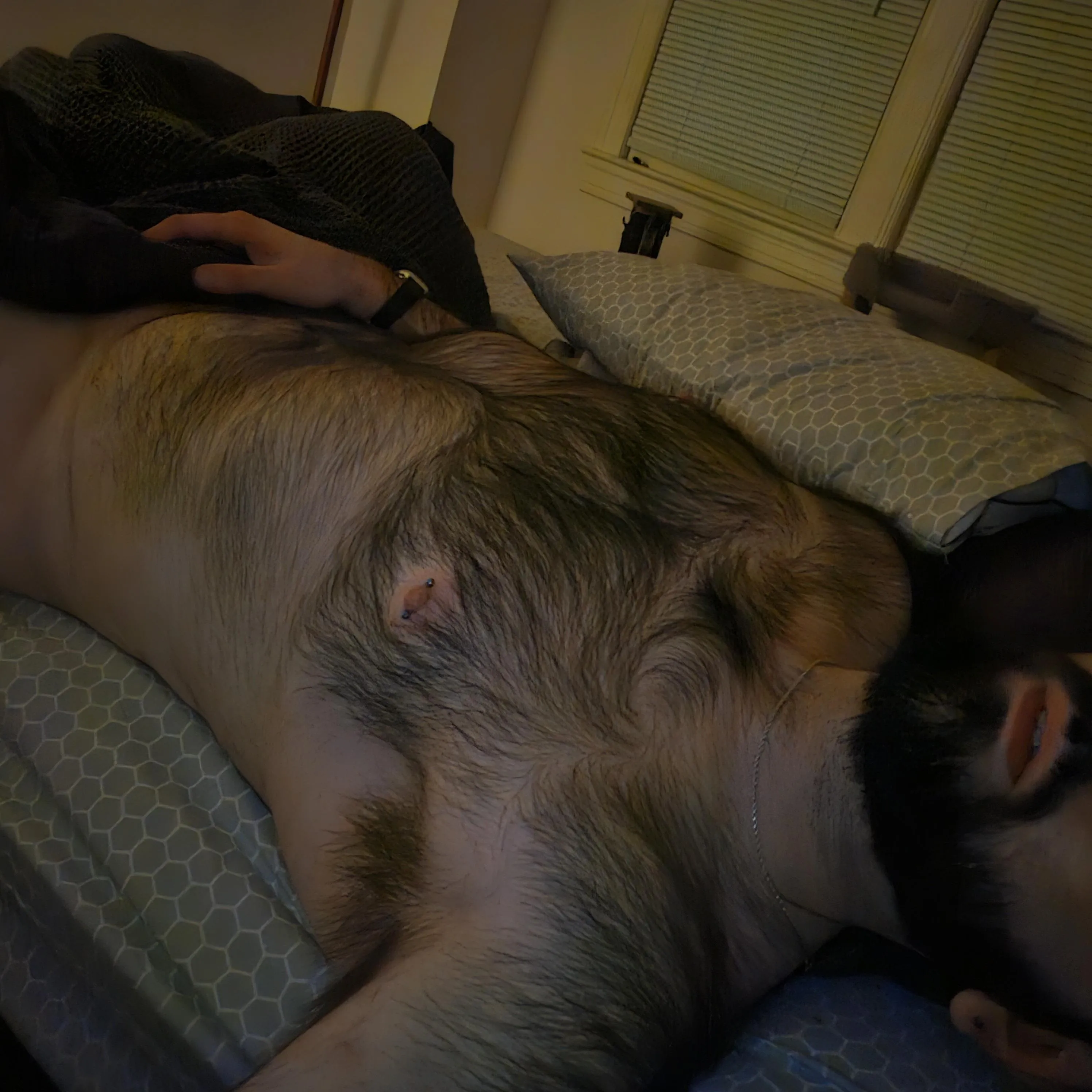 First time posting here, am I worthy?