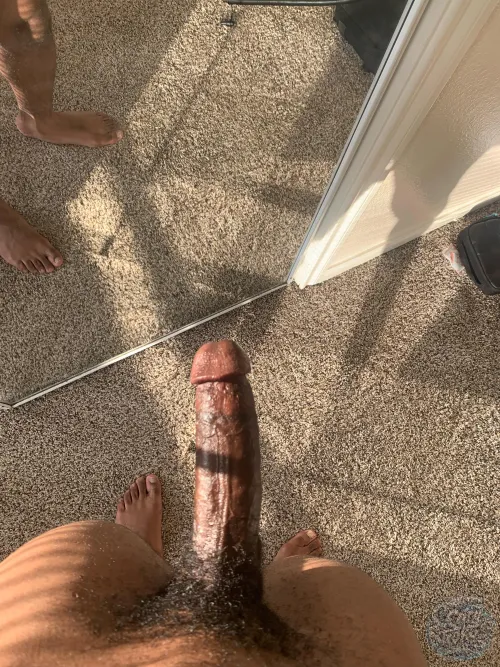 Me and the sun have something in common (24)