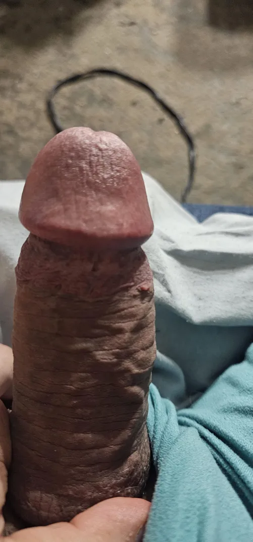 Any ladies want my cock