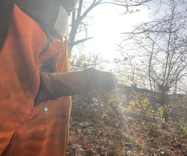 Der Frühling im Herbst😇