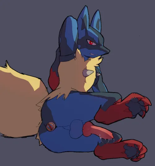 Lucario wants to have fun