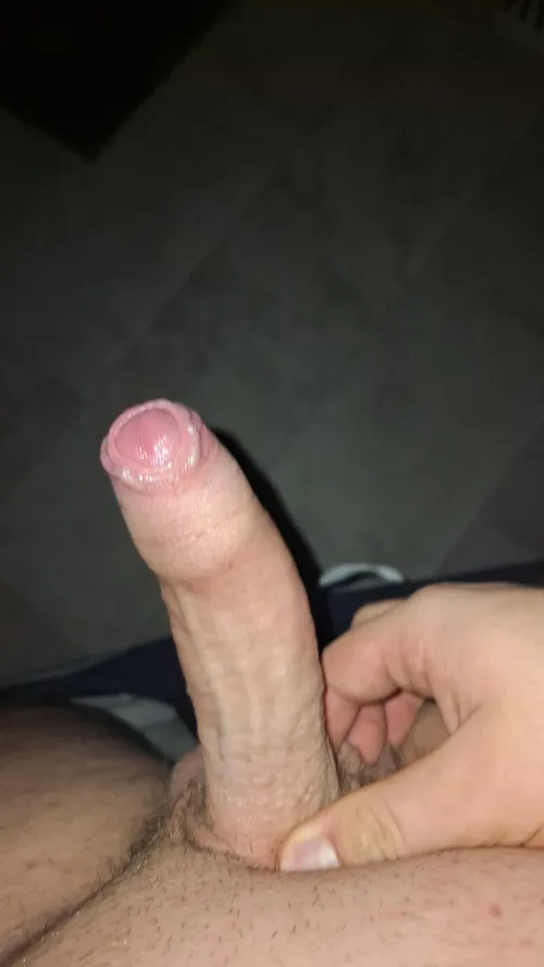 Any girl like my dick?