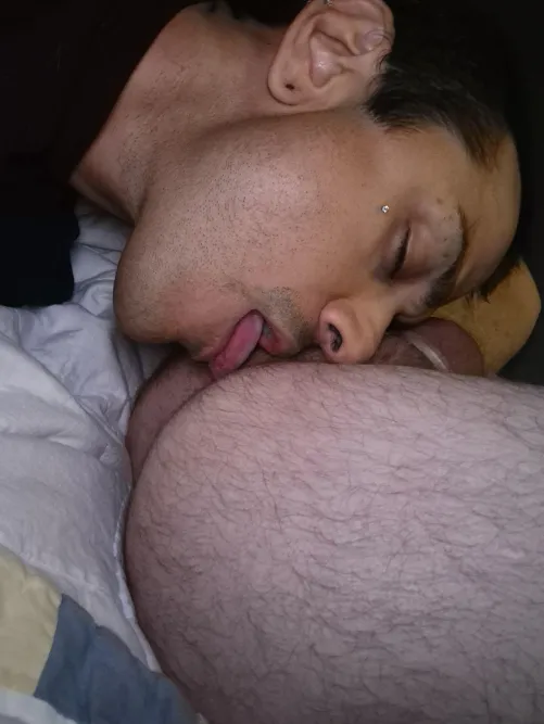 Ass eating pig here westminster colorado