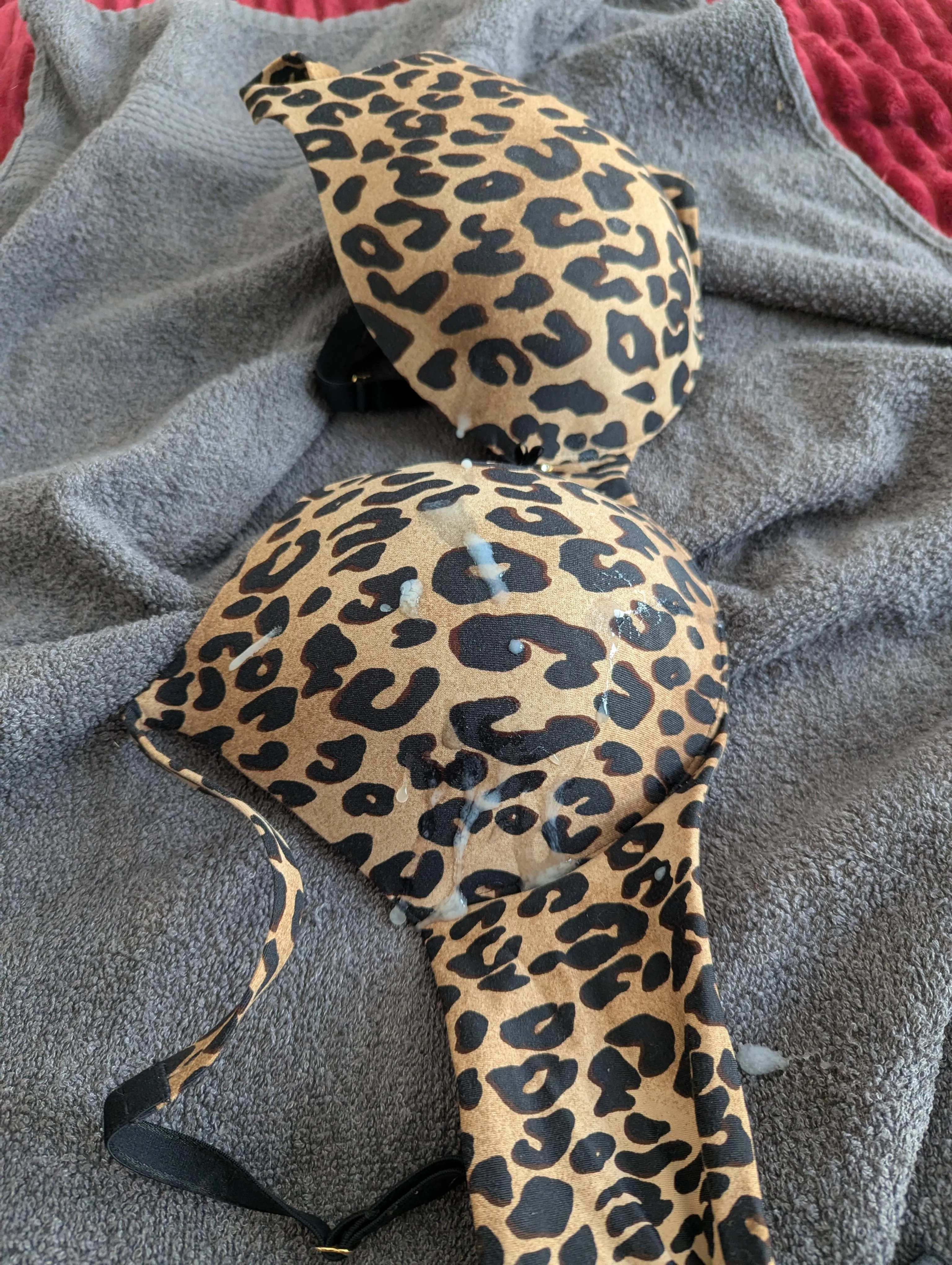 Got her again. Only a few days left