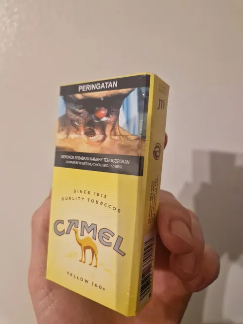 Indonesian Camel Yellow.