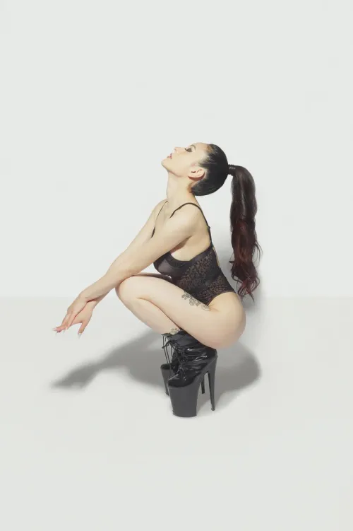 Where would you rather she sit, your cock or your face?