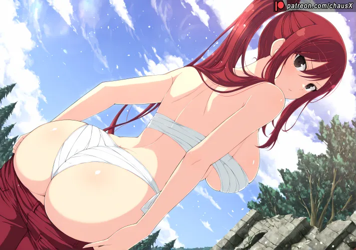 Erza Scarlet [Fairy Tail] (chausX)