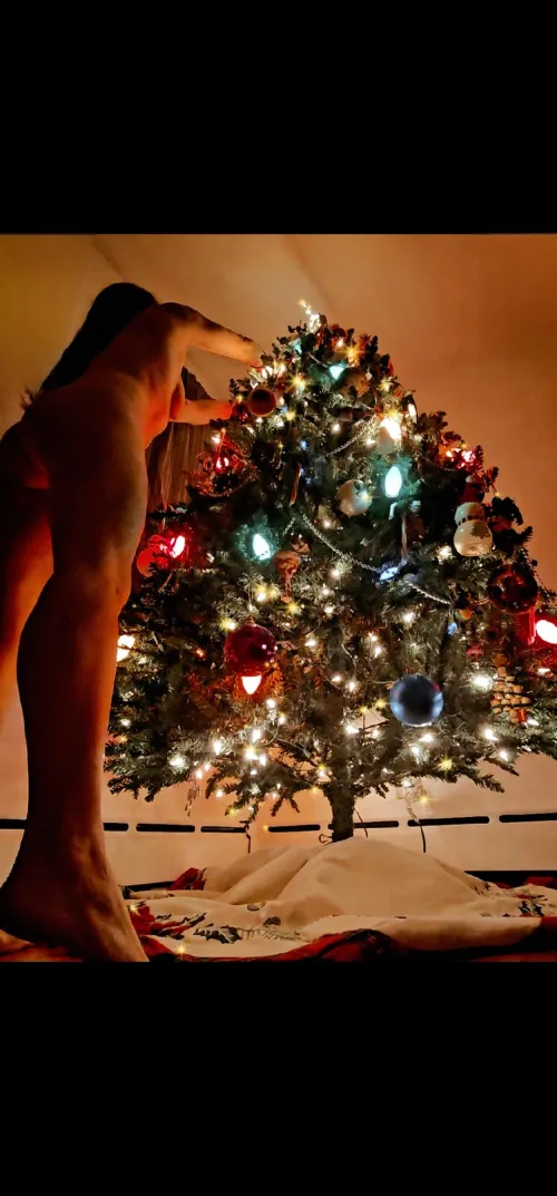 🎶Oh, Tannenbaum, Oh Tannenbaum, thy leaves are so unchanging🎶 (f)