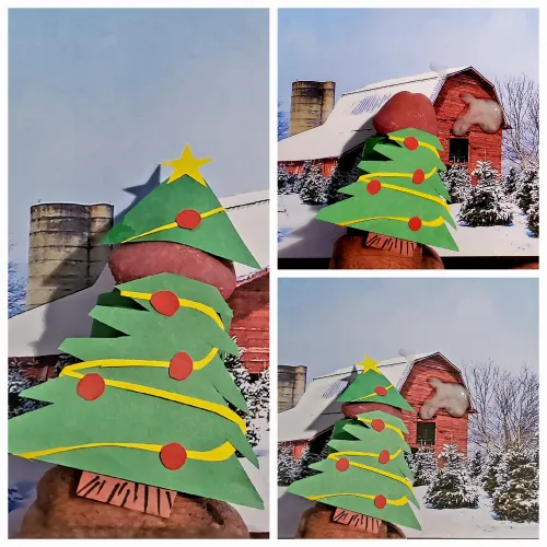 (54) is your tree up?