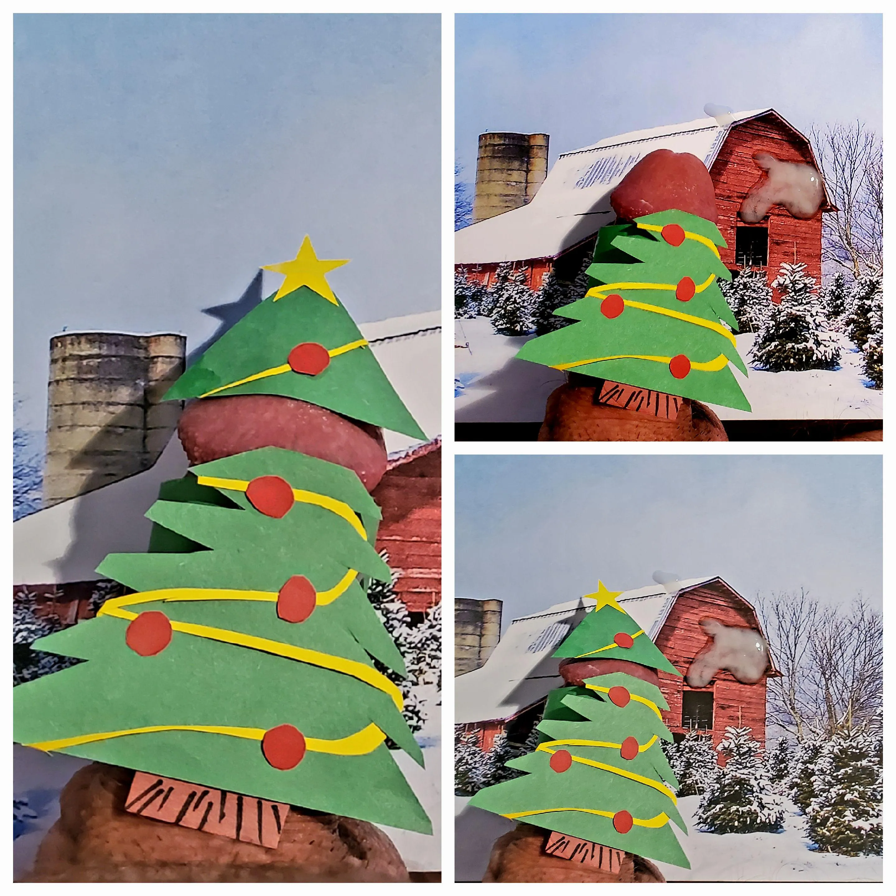 (54) is your tree up?