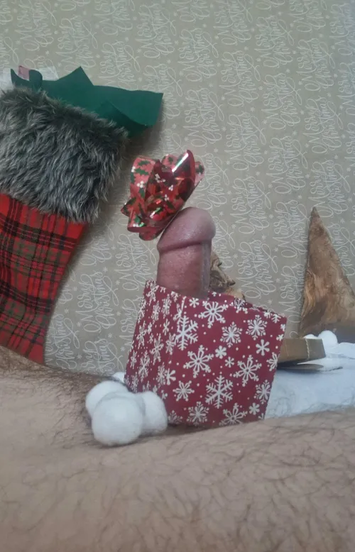 It's been awhile. I've been wrapped in this box until holiday!