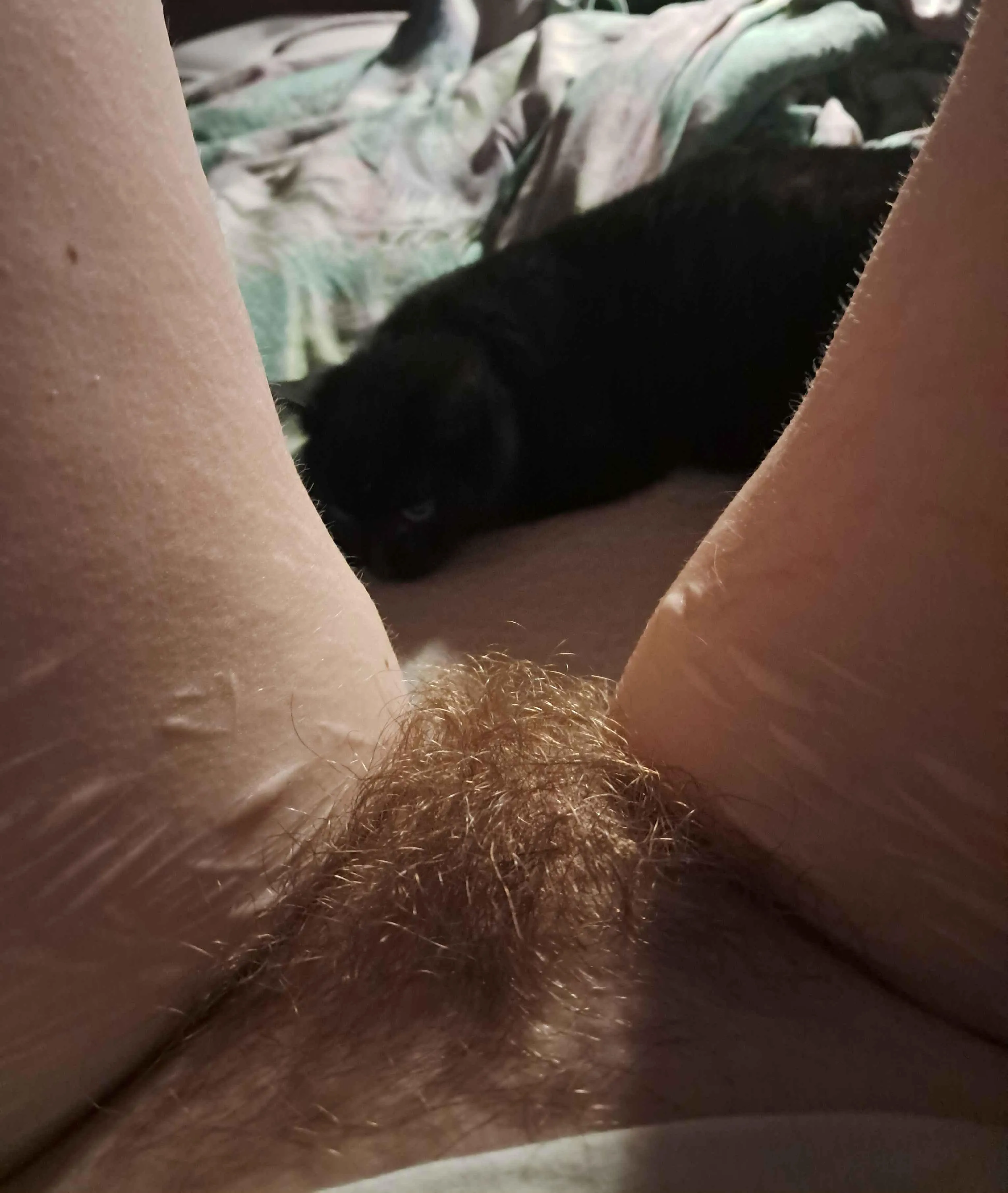 Can't have any privacy in this house