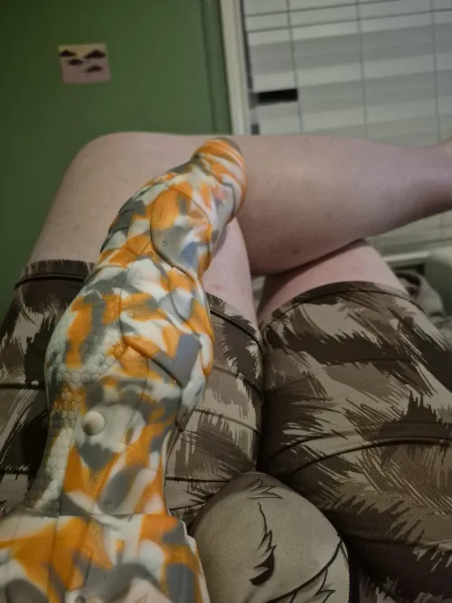 completely new to nsfw posting. perhaps some encouragement and I may post me taking this big boy? well. trying to.