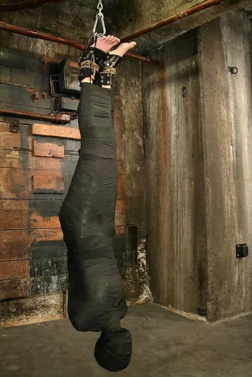 Vet wrap mummification