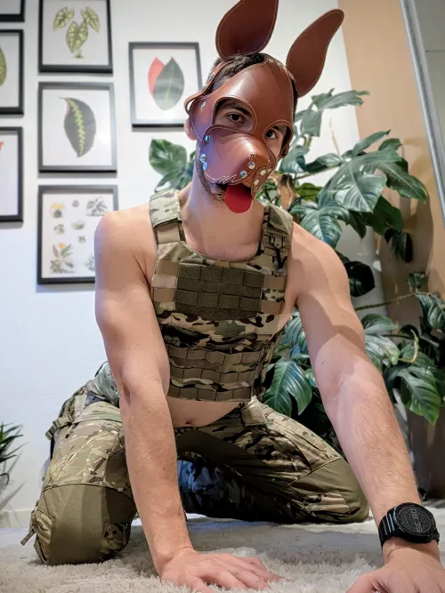 Where are my bellyrubs 😔