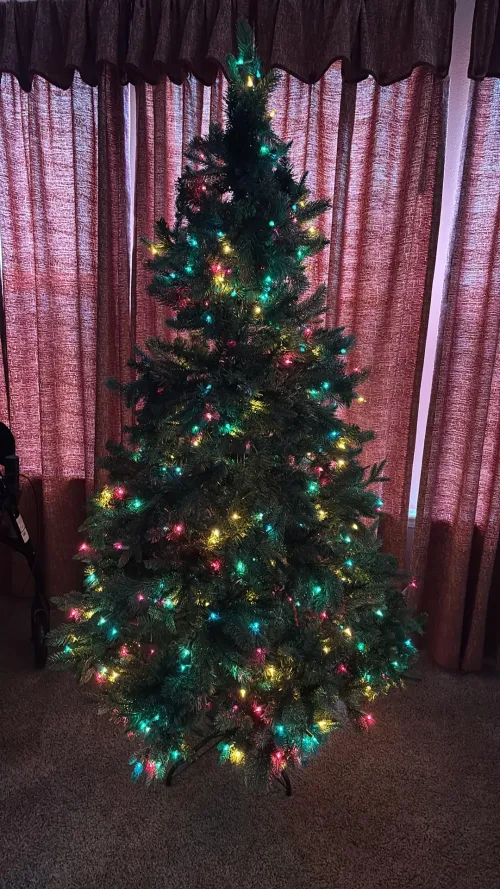 Baby princess put the tree up all by herself I’m still fluffing so ignore any gaps