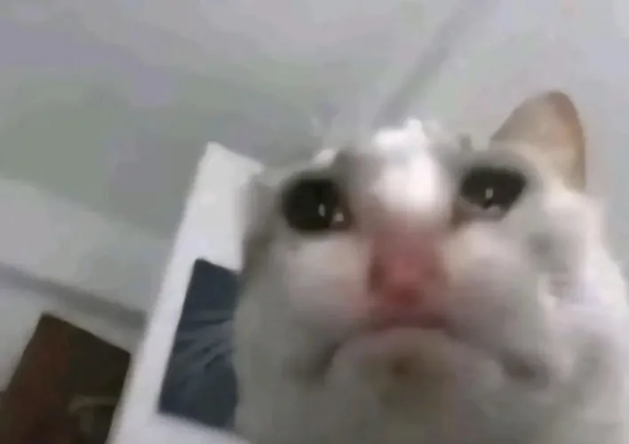 Anyone remember the “a little more x” mods? I can’t find them anymore.