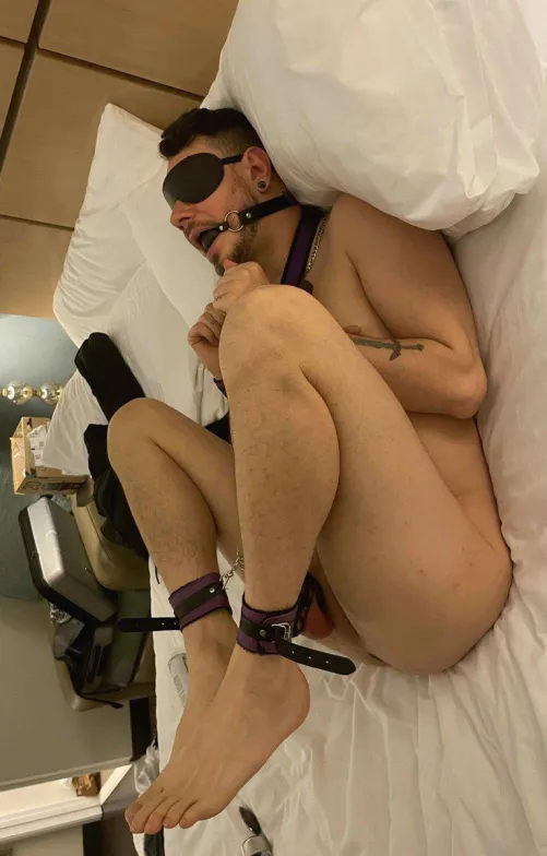 Good boy In Position