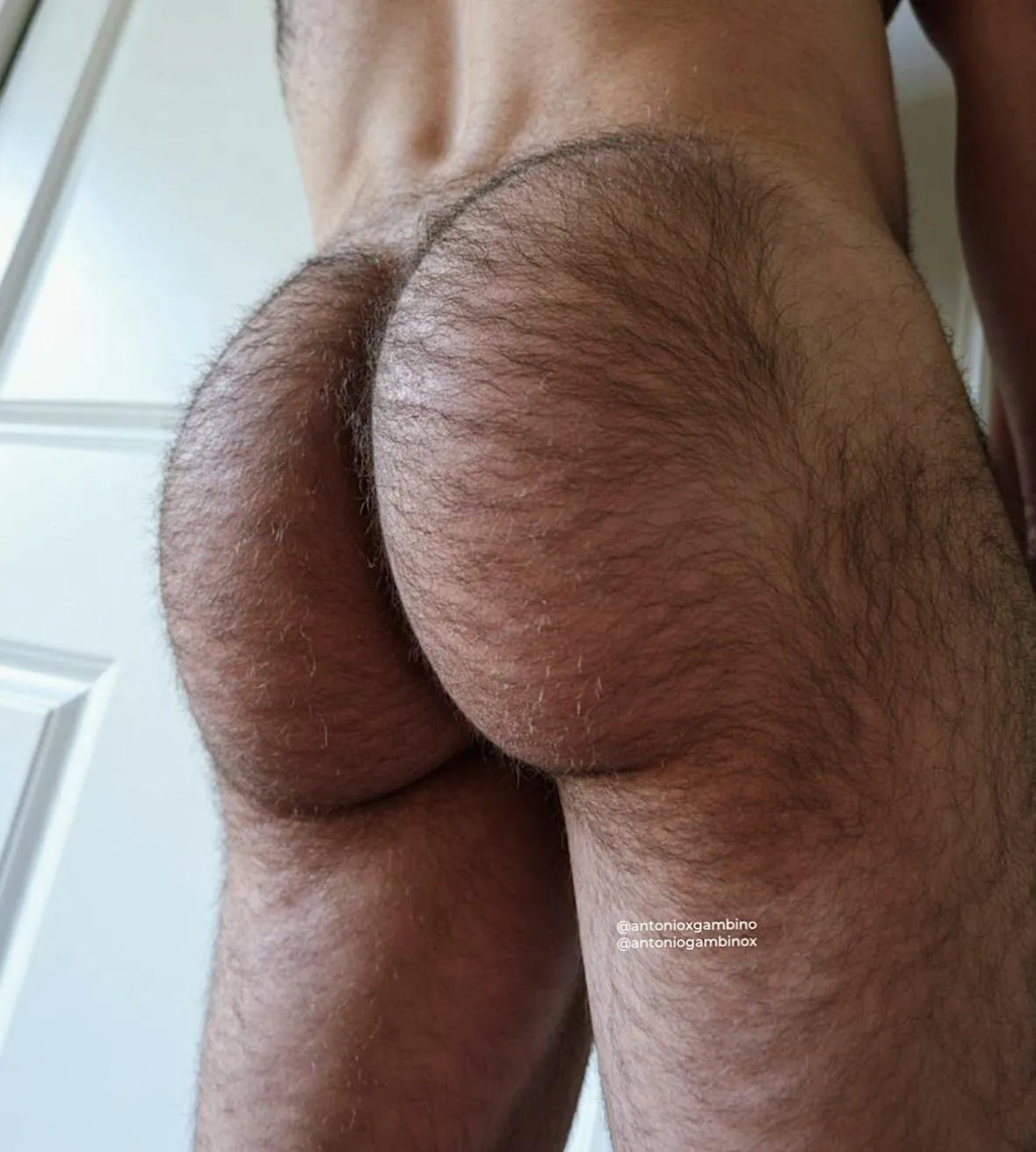Is my ass giving otter or bear?