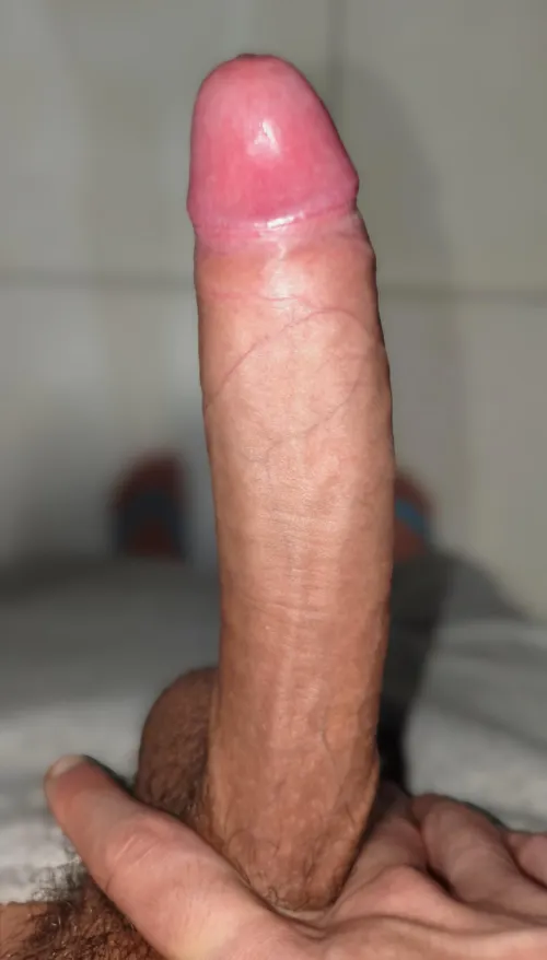 (27) Vocês já ganharam tanto peru de Natal... Aceitam mais um?