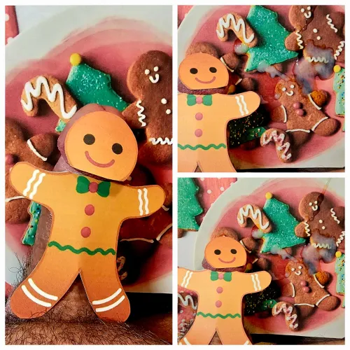 (54) Don't forget to leave out cookies!