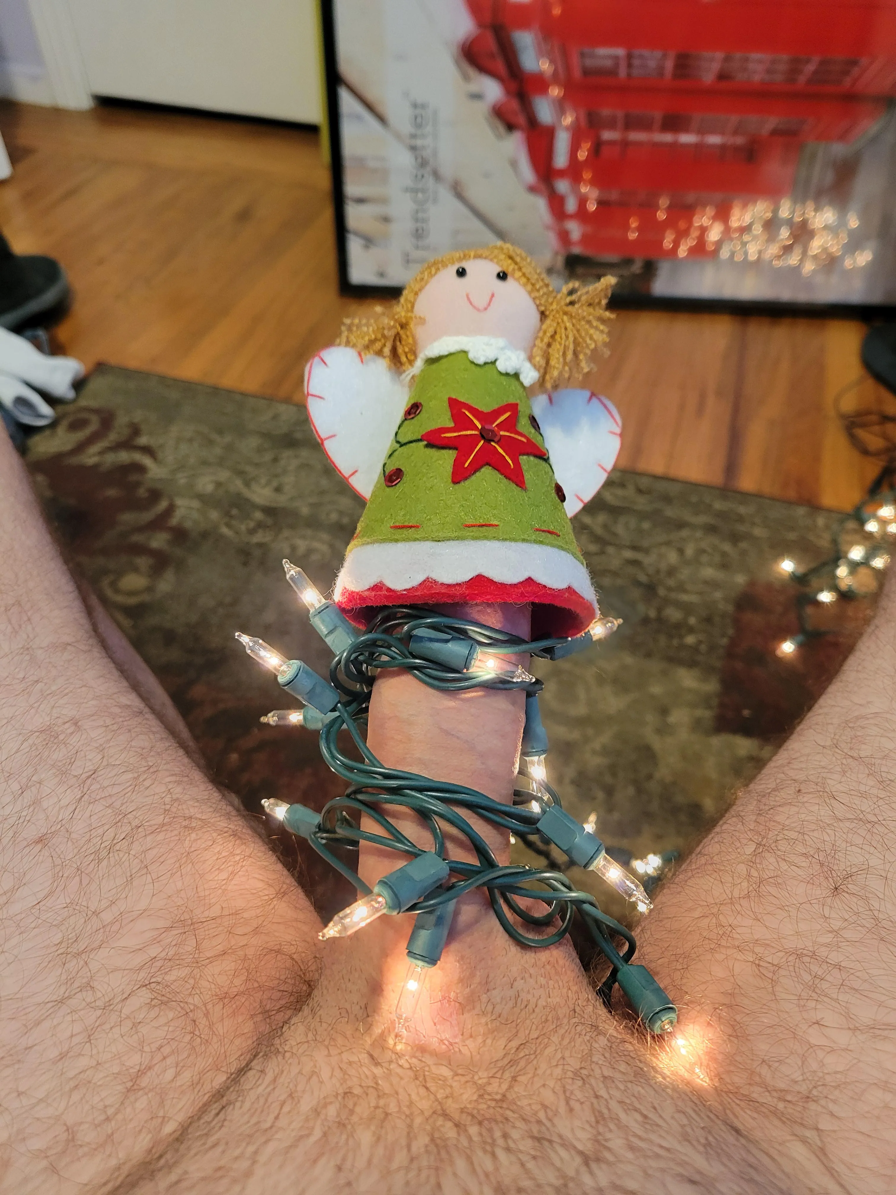 Christmas Cock