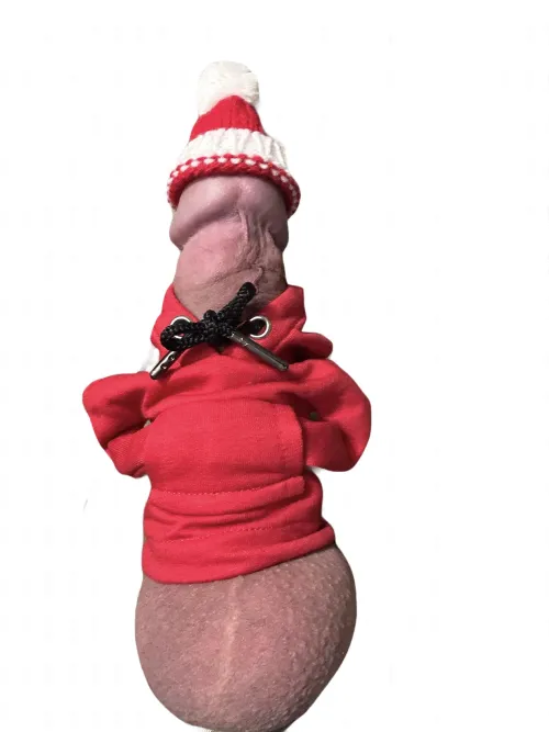 Feeling festive? I bet there’s some mistletoe around here somewhere..